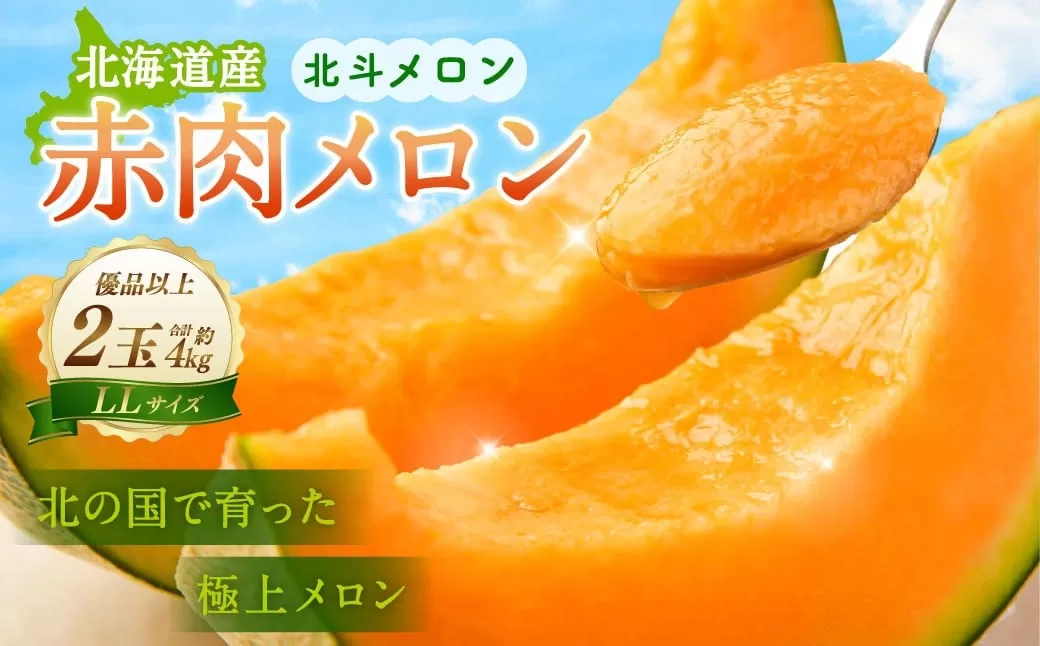 ＜先行受付＞北海道産 北斗メロン「赤肉メロン」〈LLサイズ〉2玉（優品以上／2玉で約4kg）【2025年6月下旬-7月下旬 順次発送予定】メロン 果物 くだもの フルーツ