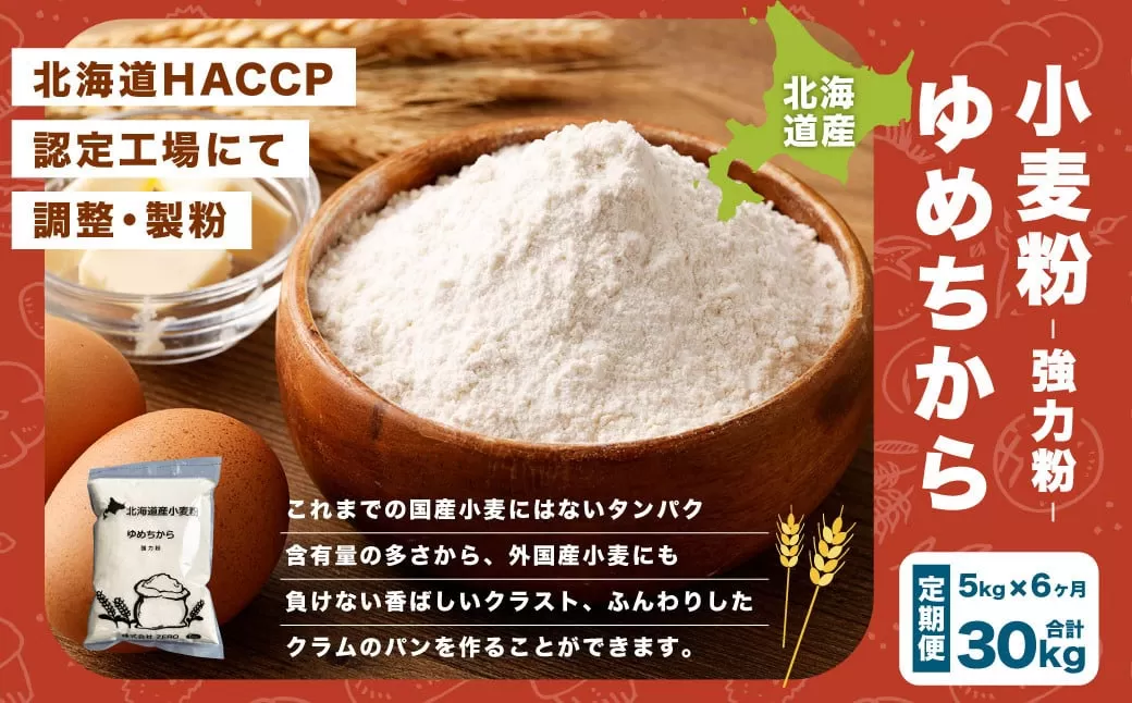 【6ヶ月定期便】北海道産 ゆめちから 5kg（1kg×5袋） 計30kg 国産 小麦粉 中力粉