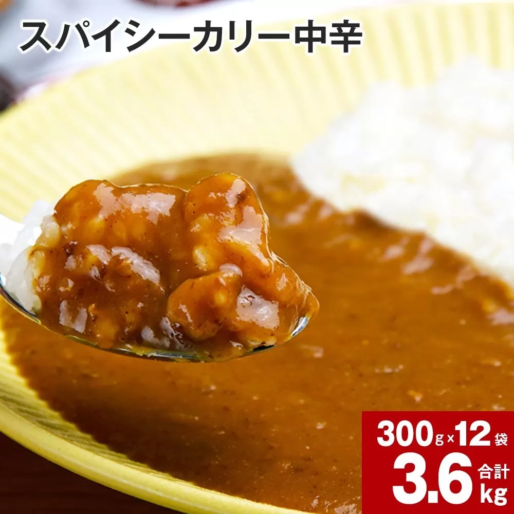スパイシーカリー中辛(レトルト) 300g×12袋