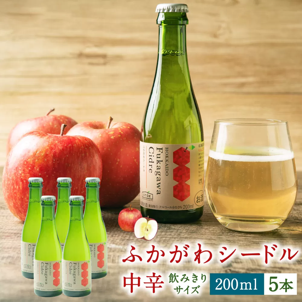 北海道深川市産りんご使用 果実酒 ふかがわシードル飲みきりサイズ＜中口＞ 200ml×5本セット