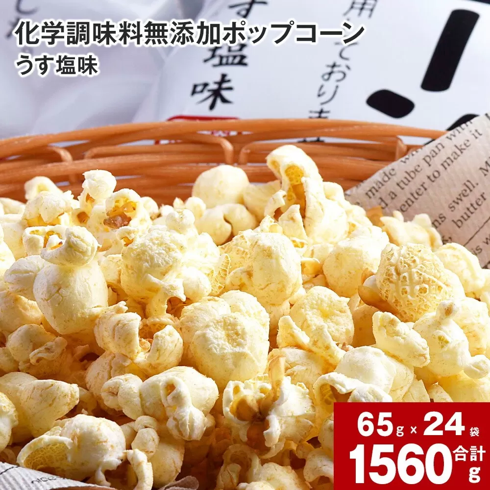 化学調味料無添加ポップコーン うす塩味(65g×24袋)
