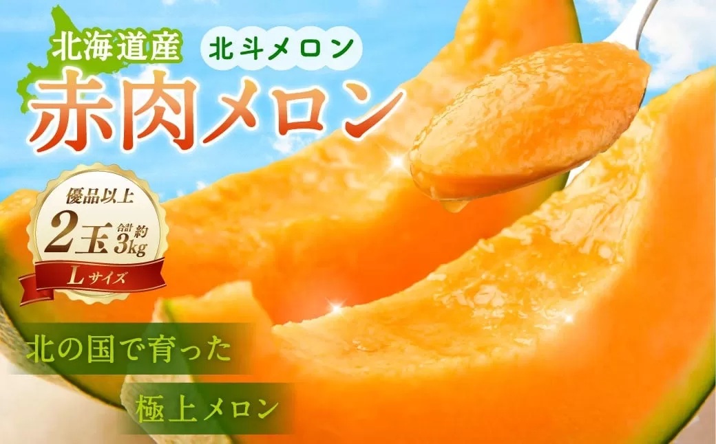 ＜先行受付＞北海道産 北斗メロン「赤肉メロン」〈Lサイズ〉2玉（優品以上／2玉で約3kg）【2025年6月下旬-7月下旬 順次発送予定】フルーツ メロン 果物 赤肉
