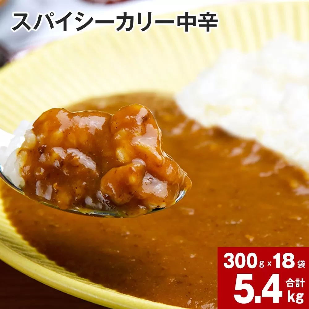 スパイシーカリー中辛(レトルト) 300g×18袋