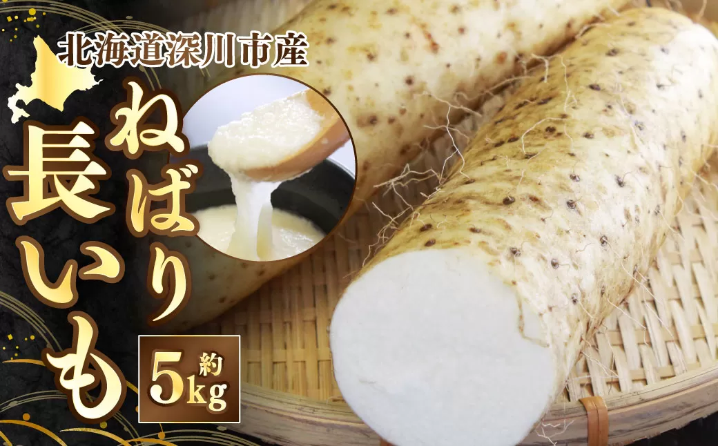 《令和7年産 先行受付》北海道深川市産 ねばり長いも 約5kg 【2025年11月上旬-11月下旬 発送予定】 長芋 ながいも 芋 イモ 根菜