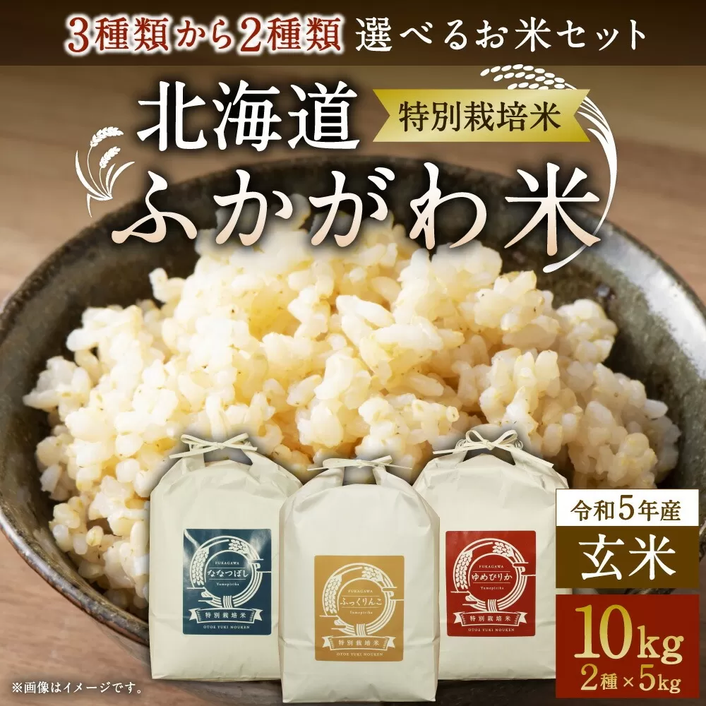 【令和5年産 特別栽培米】北海道ふかがわ米 3種類から選べるお米セット(玄米) 各5kg(合計10kg)