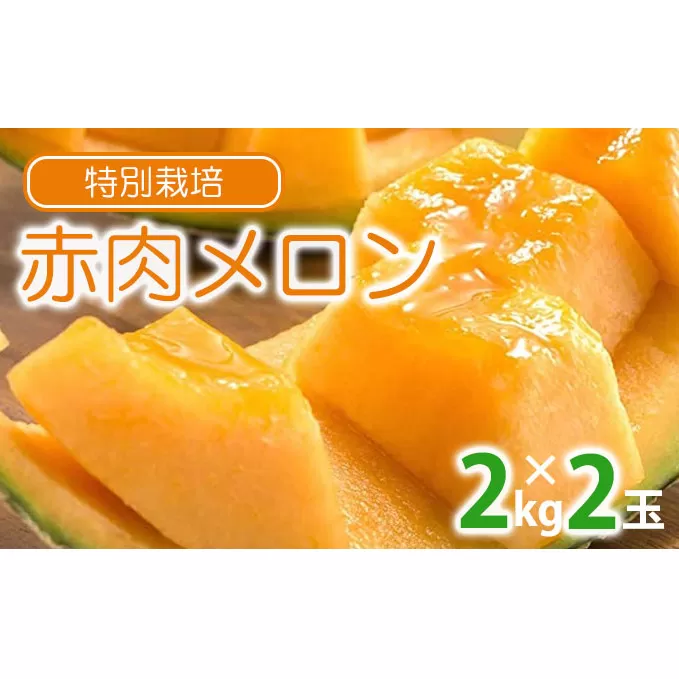 【2025年夏出荷】 ”特別栽培” 富良野産メロン 北添花 （赤肉メロン2玉入 約4kg）【植崎ファーム】メロン フルーツ 果物 新鮮 甘い 贈り物 ギフト 道産 ジューシー おやつ ふらの ブランド 夏 