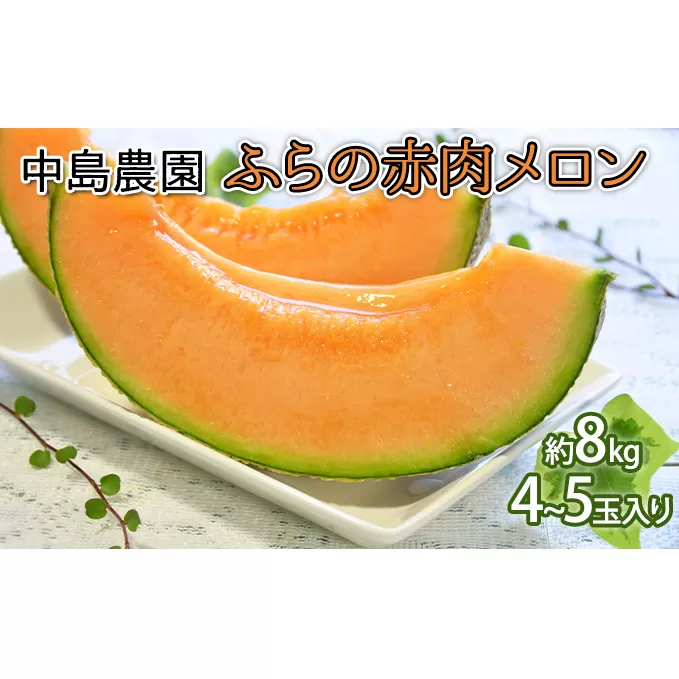【2025年7月～発送】北海道 富良野市 ふらの赤肉 メロン 4～5玉入り 計 約8kg (中島農園) メロン フルーツ 果物 新鮮 甘い 贈り物 ギフト 道産 ジューシー おやつ ふらの ブランド 夏 