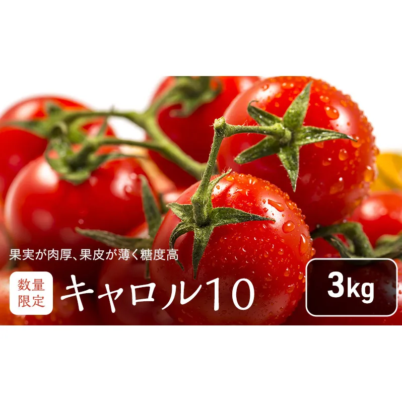 北海道 富良野市産 完熟ミニトマト（キャロル10）約3kg トマト 甘い 野菜 新鮮 数量限定 先着順【藏ファーム】