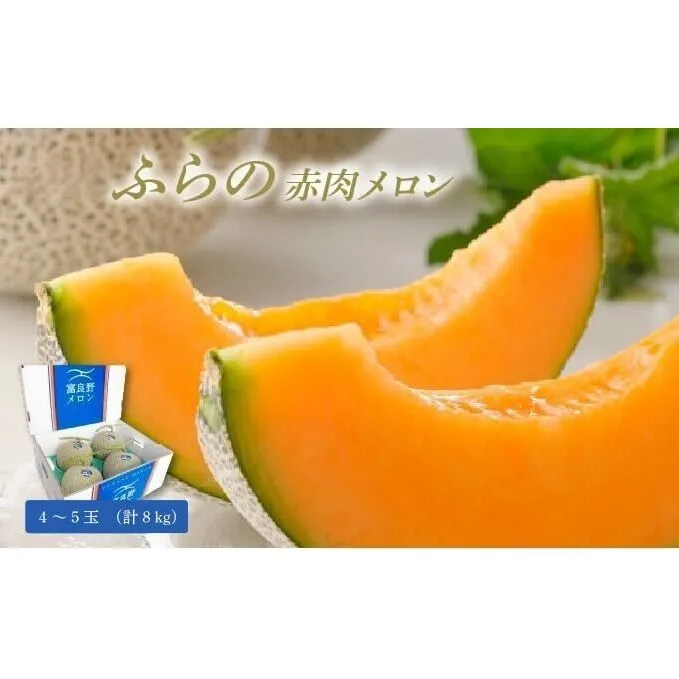 【2026年8月発送】JAふらの 赤肉メロン 4～5玉（計8kg）富良野市 メロン フルーツ 果物