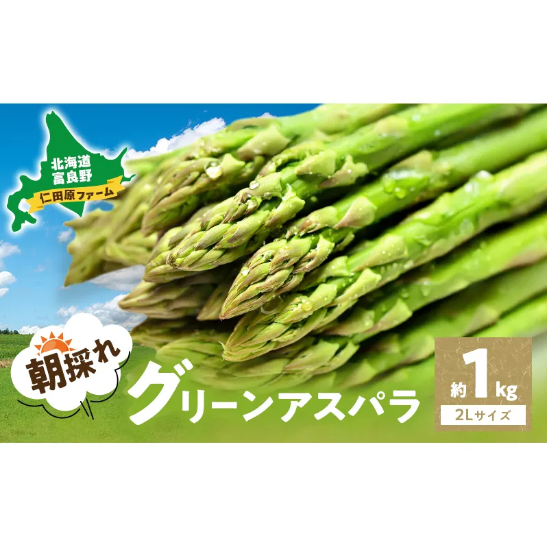 【2026年4月～発送】朝採り 富良野市 グリーン アスパラ 2Lサイズ  約1kg  (仁田原ファーム) 野菜 新鮮 太い 直送 朝採り アスパラガス 道産 北海道 ふらの