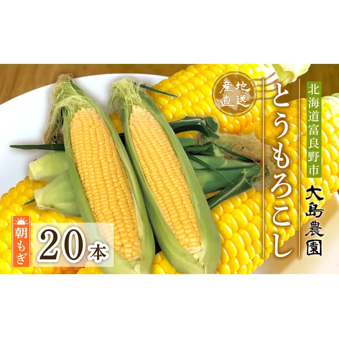 【2024年7月中旬～発送】朝もぎ とうもろこし 恵味 めぐみ 20本 L-2L 北海道 富良野市 (大島農園)