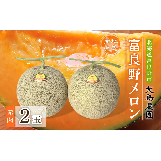 【2024年7月中旬～発送】ふらのメロン 1.6kg以上 赤肉 2玉 北海道 富良野市 (大島農園)