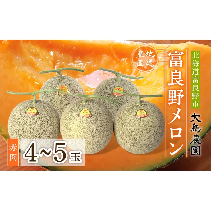 【2024年7月中旬～発送】ふらのメロン 1.6kg以上 赤肉 4～5玉 北海道 富良野市 (大島農園)