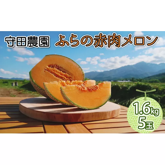 【2025年7月中旬～発送】北海道 ふらの 赤肉メロン 5玉入り 約1.6kg×5玉 (守田農園) メロン フルーツ 果物 新鮮 甘い 贈り物 ギフト 道産 ジューシー おやつ ふらの ブランド 夏 