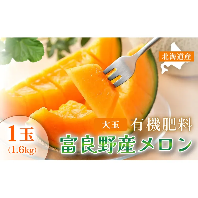 【糖度15度以上 赤肉メロン】富良野産 メロン 1.6kg×1玉 1箱｜北海道富良野市 7～8月発送 ご褒美 プレゼント メロン 赤肉メロン 富良野メロン 果物 フルーツ とろける甘さ 夏季限定 旬の味覚 芳醇な香り