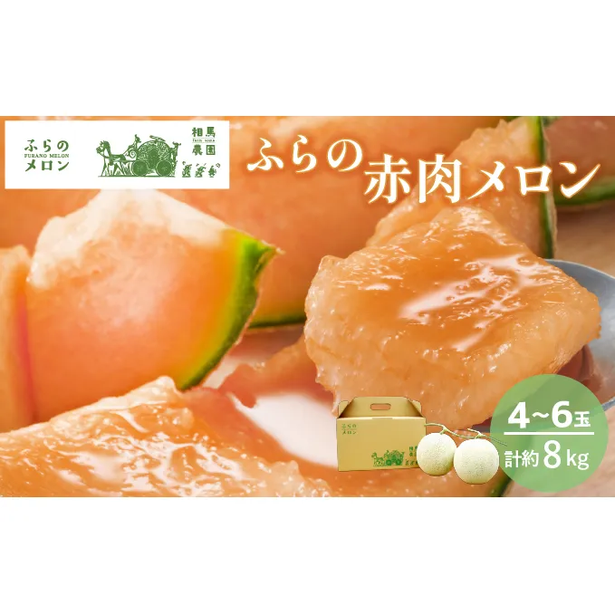 【2025年6月下旬～発送】ふらの 赤肉 メロン 4～6玉入 計約8kg 北海道 富良野市 (相馬農園) メロン フルーツ 果物 新鮮 甘い 贈り物 ギフト 道産 ジューシー おやつ ふらの ブランド 夏 