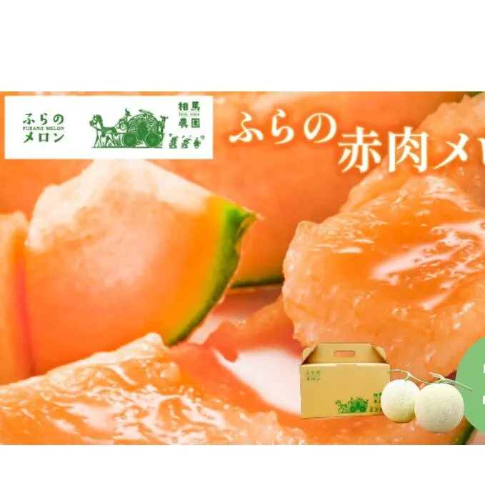 【2026年6月下旬～発送】ふらの 赤肉 メロン 2玉入 各2kg前後 北海道 富良野市 (相馬農園) メロン フルーツ 果物 新鮮 甘い 贈り物 ギフト 道産 ジューシー おやつ ふらの ブランド 夏 