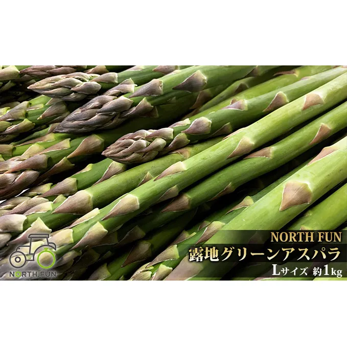 【2026年5月発送】北海道 富良野産 露地 グリーン アスパラ Lサイズ約1kg 野菜 アスパラガス