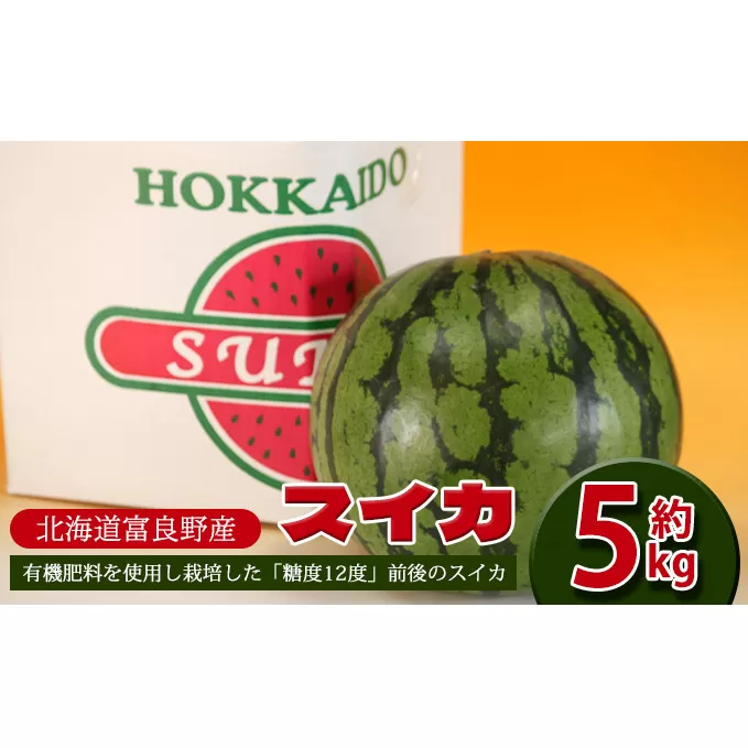 【2025年7月～発送】すいか 約5kg 北海道 富良野市 (スイートベジタブルファクトリー) フルーツ 果物 新鮮 甘い 贈り物 ギフト 道産 おやつ デザート ふらの ブランド 夏 