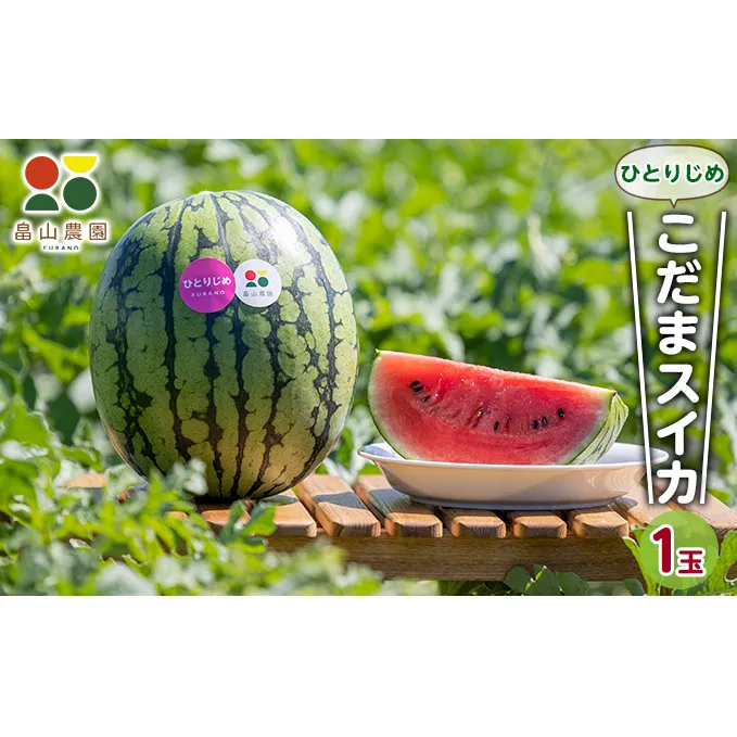 【2025夏発送】ひとりじめ こだま スイカ 2玉 北海道 富良野産 すいか 西瓜 夏 フルーツ ふらの 甘い 糖度 小玉 (畠山農園）