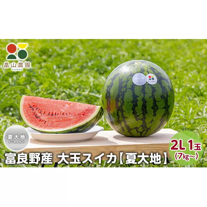 【2025夏発送】富良野産 大玉 スイカ 2L（7kg～）1玉【夏大地】北海道 ふらの すいか 西瓜 夏 フルーツ ふらの 甘い 糖度 大きい 大だま (畠山農園）