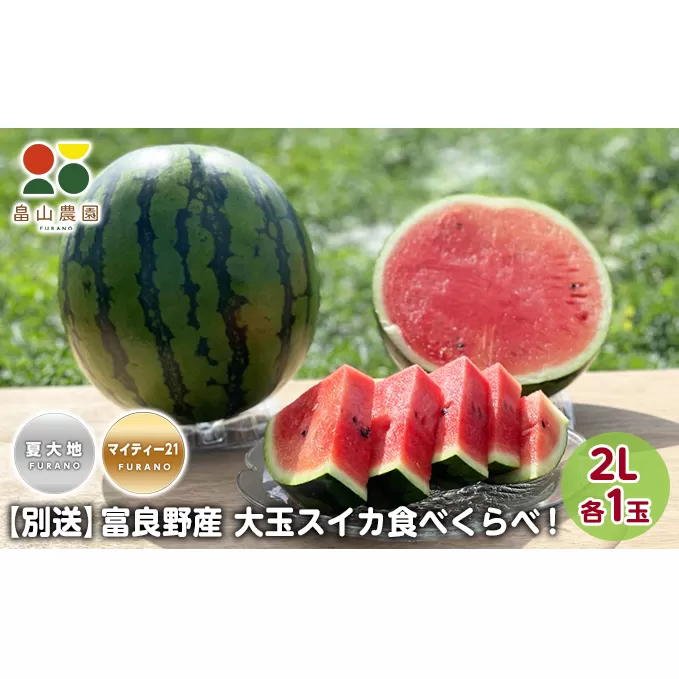 先行予約【食べ比べ】富良野産 大玉 スイカ2L 各1玉(夏大地・マイティ21) 北海道 ふらの すいか 西瓜 夏 フルーツ ふらの 甘い 糖度 大きい 大だま セット 別送  (畠山農園）