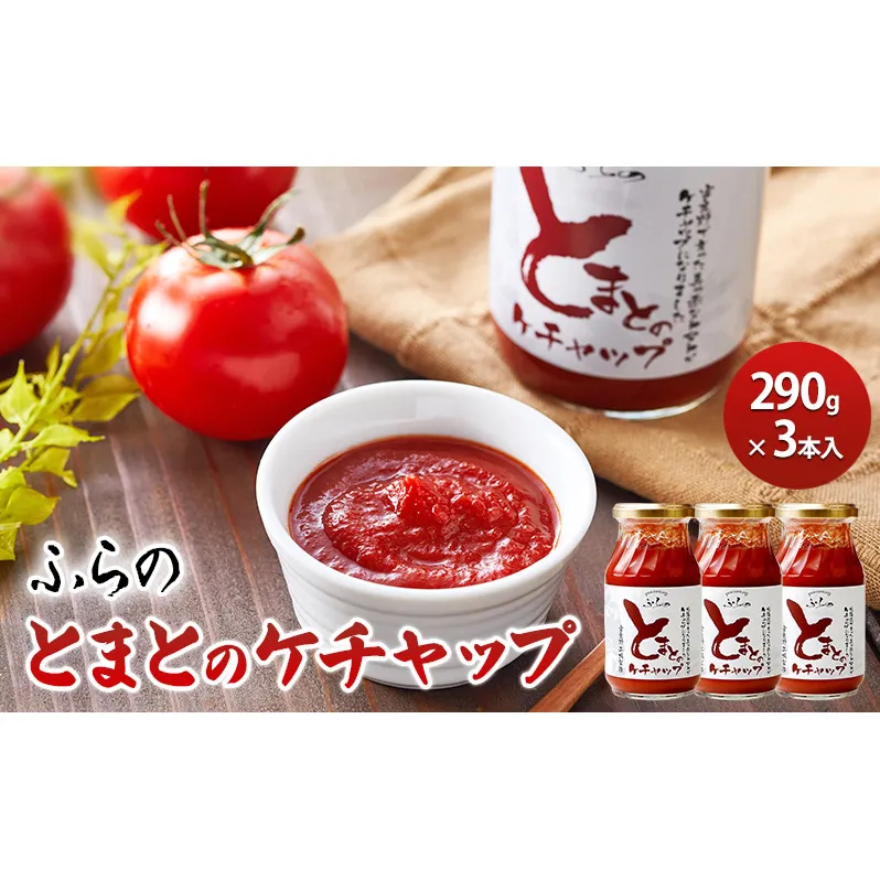 ふらの とまとのケチャップ 290g×3本入  (調味料 加工品 ケチャップ トマト ソース 北海道 送料無料 道産 富良野市 ふらの)