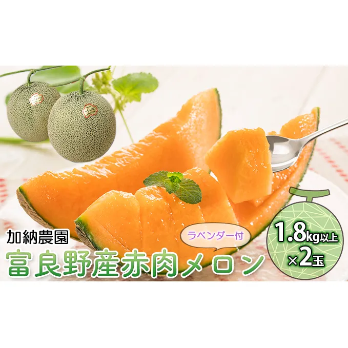 【2025年7月～発送】富良野産 赤肉 メロン ≪ラベンダー付≫ 1.8kg以上×2玉 北海道 富良野市 (加納農園) メロン フルーツ 果物 新鮮 甘い 贈り物 ギフト 道産 ジューシー おやつ ふらの ブランド 夏 