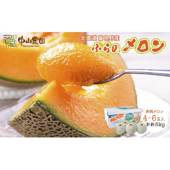 【2025年夏発送】北海道 富良野産 赤肉メロン 4～6玉 大箱8kg (中山農園) メロン フルーツ 果物 新鮮 甘い 贈り物 ギフト 道産 ジューシー おやつ ふらの ブランド 夏 