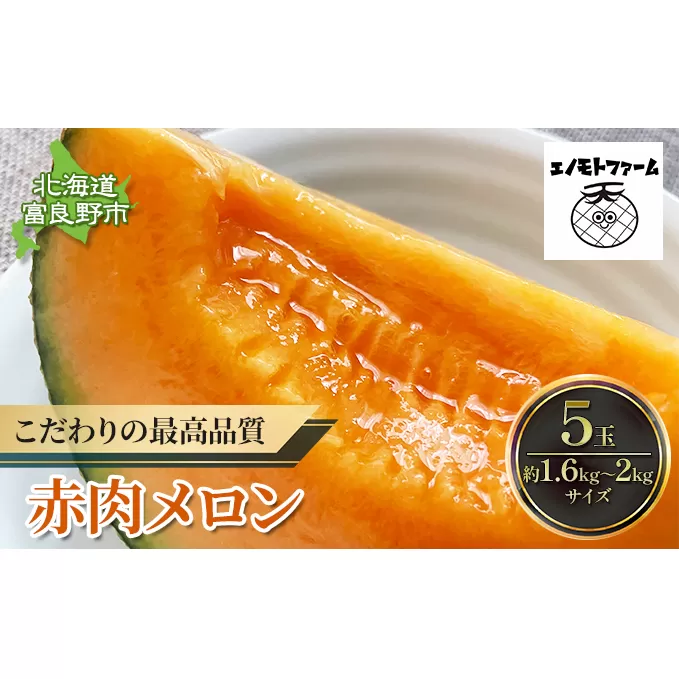【2025年夏発送】北海道 富良野産 赤肉メロン 5玉 1.5kg～2kgサイズ ふらの メロン ギフト 果物 赤玉 (榎本農園) メロン フルーツ 果物 新鮮 甘い 贈り物 ギフト 道産 ジューシー おやつ ふらの ブランド 夏 