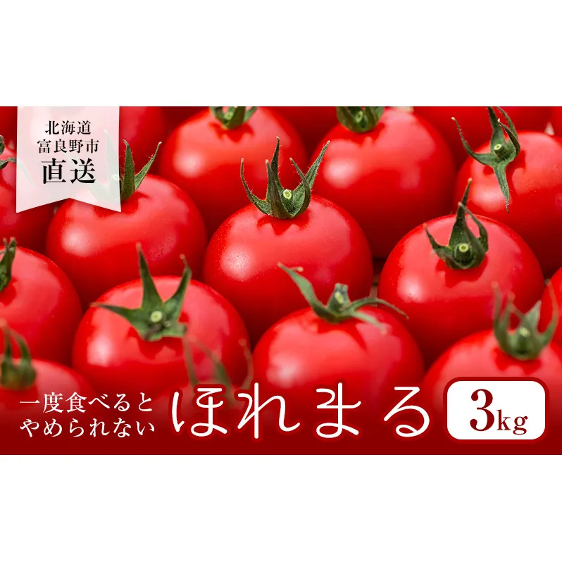 【2024年夏発送】ふらの ミニトマト 3kg（品種：ほれまる）北海道 富良野市 野菜 新鮮 直送 トマト 道産 ふらの 送料無料 数量限定 先着順 