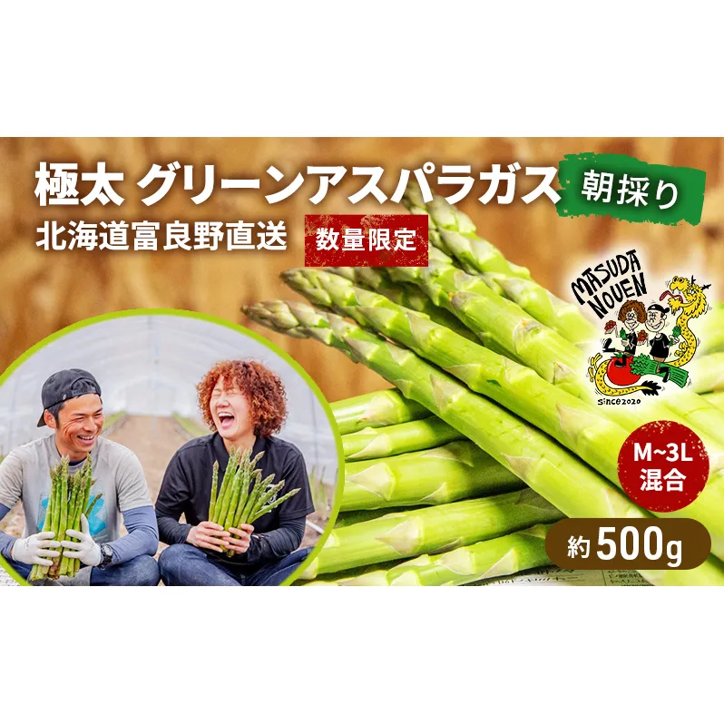 【数量限定・2026年4月初旬頃～発送】富良野 益田農園産 極太 グリーンアスパラガス ≪M～3L混合≫ 約500g アスパラ 北海道 富良野市 緑アスパラ 野菜 とれたて 朝採り 限定 数量限定 (益田農園)