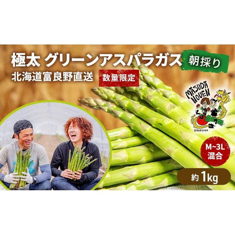 【数量限定・2026年4月初旬頃～発送】富良野 益田農園産 極太 グリーンアスパラガス ≪M～3L混合≫ 約1kg アスパラ 北海道 富良野市 緑アスパラ 野菜 とれたて 朝採り 限定 数量限定 (益田農園)