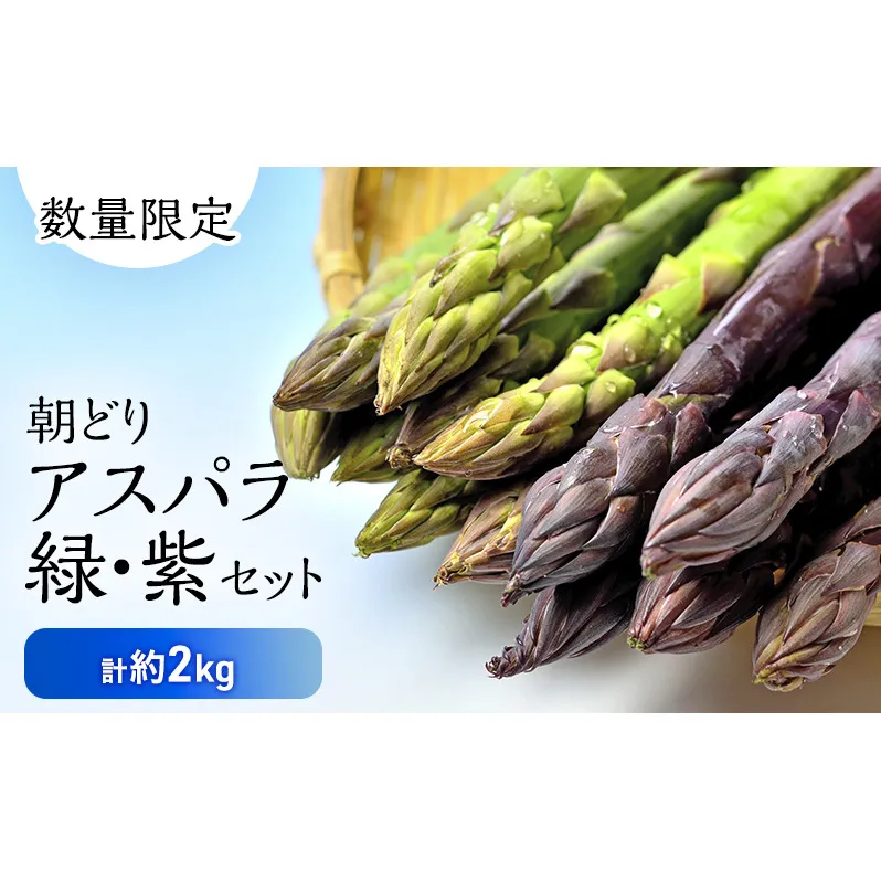 北海道 富良野市産 アスパラ緑(2L～Lサイズ混合)・紫(LMサイズ混合 )  計約2kg セット 食べ比べ 朝どり 露地 アスパラガス 詰め合わせ 野菜 新鮮 数量限定 先着順【藏ファーム】