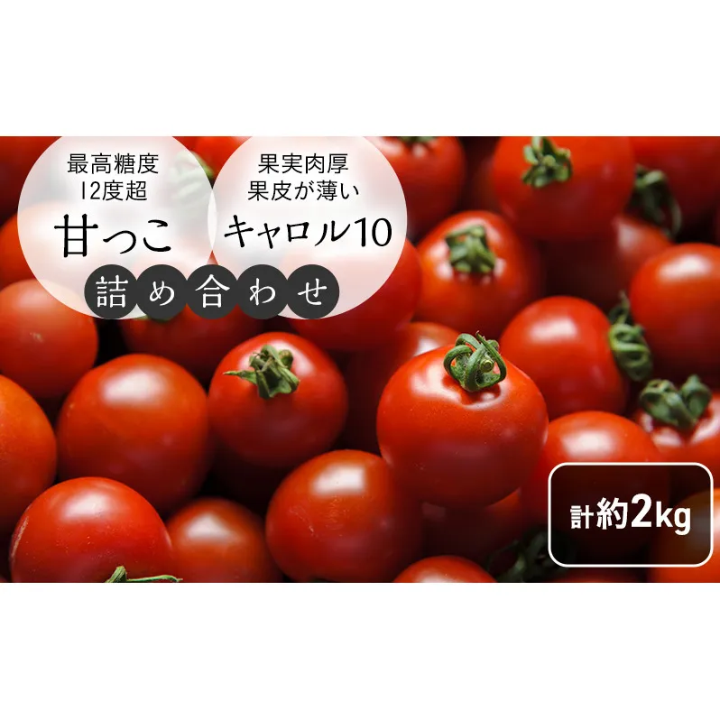 北海道 富良野市産 完熟ミニトマト 2種 計約2kg 甘っこ キャロル10 各1kg×2 詰め合わせ トマト 甘い 野菜 新鮮 数量限定 先着順【藏ファーム】