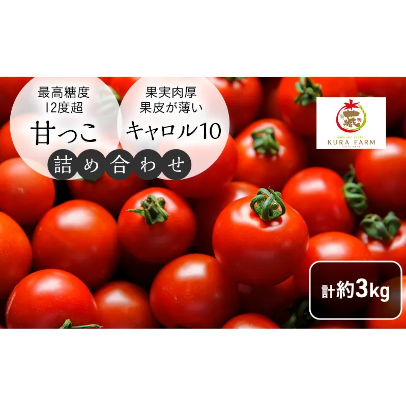 【2025年7月より発送】北海道 富良野市産 完熟ミニトマト 2種 計約3kg 甘っこ キャロル10 各1.5kg×2 詰め合わせ トマト 甘い 野菜 新鮮 数量限定 先着順【藏ファーム】