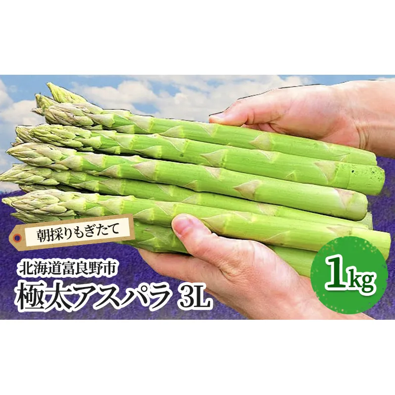 【2026年春発送】極太 グリーンアスパラ 3Lサイズ 1kg 北海道 富良野市産 (スイートベジタブルファクトリー)