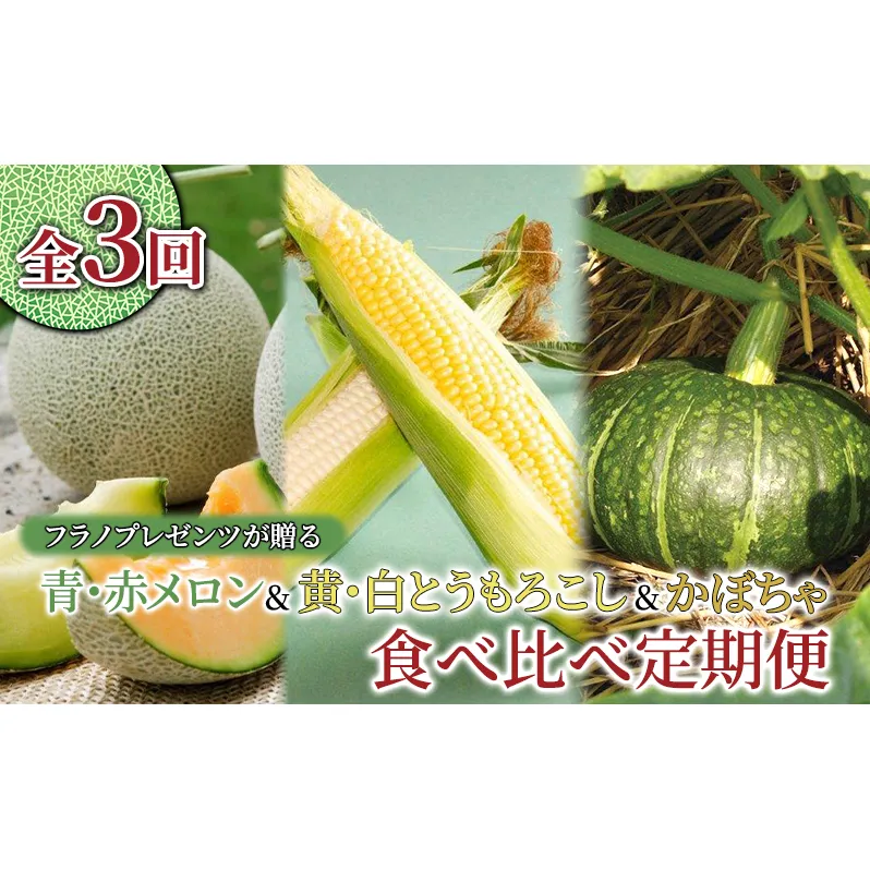 【年3回定期便】【2025年7～10月お届け】高品質 フラノプレゼンツ が贈る 赤肉 青肉 メロン ＆ 新鮮 野菜 の 品種 食べ比べ 計6種 定期便 (メロン とうもろこし かぼちゃ  北海道 富良野市 野菜 果物 フルーツ 甘い 新鮮)