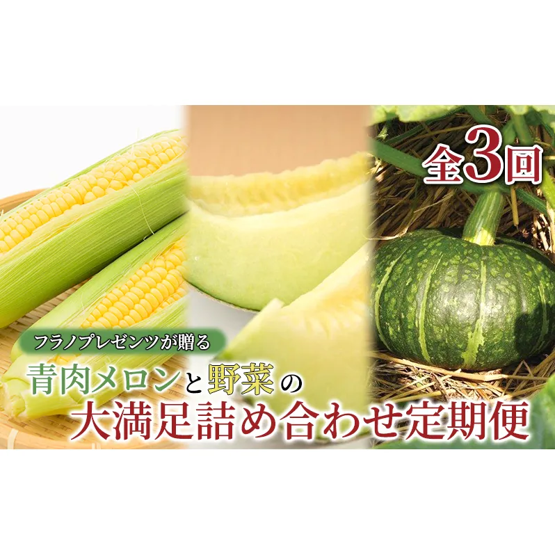 【年3回定期便】【2025年7～10月お届け】高品質 フラノプレゼンツ が贈る 青肉 メロン 野菜 大満足 詰め合わせ 定期便 (メロン とうもろこし かぼちゃ 北海道 富良野市 野菜 果物 フルーツ 甘い 新鮮 ふらのメロン)