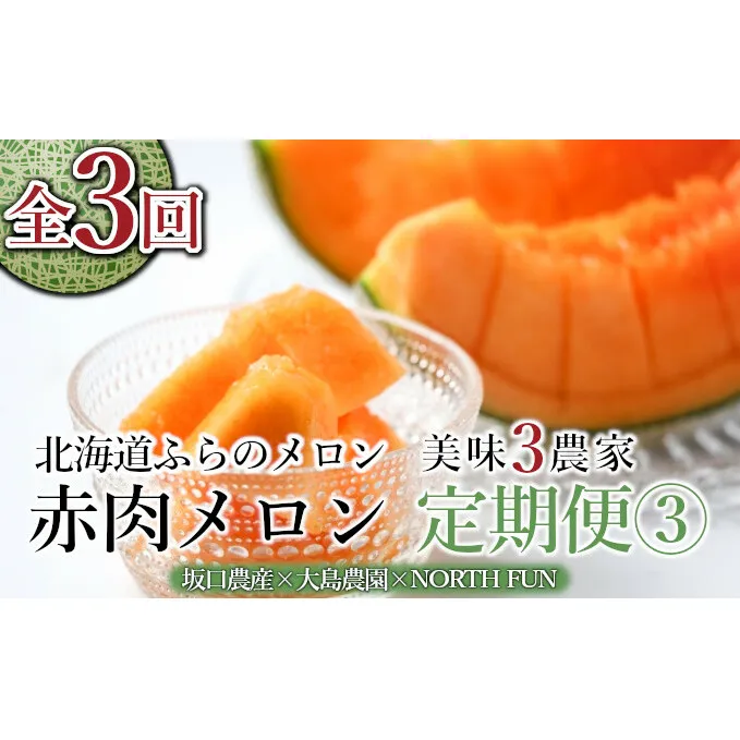 【年3回定期便】【2025年6～9月お届け】数量限定！ こだわりのふらのメロン 厳選3農家 コラボ  定期便(3)  食べ比べ 赤肉 2玉×3回 合計6玉 (北海道 富良野市 果物 フルーツ 甘い デザート 産地 直送 新鮮 先着順 坂口農産 大島農園 NORTH FUN)