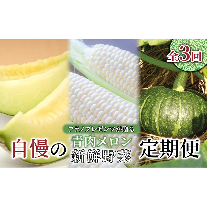 【年3回定期便】【2025年7～10月お届け】高品質 フラノプレゼンツ が贈る 青肉 メロン＆野菜  定期便 (メロン とうもろこし かぼちゃ  北海道 富良野市 野菜 果物 フルーツ 甘い 新鮮 ふらのメロン いも コーン 夏野菜)