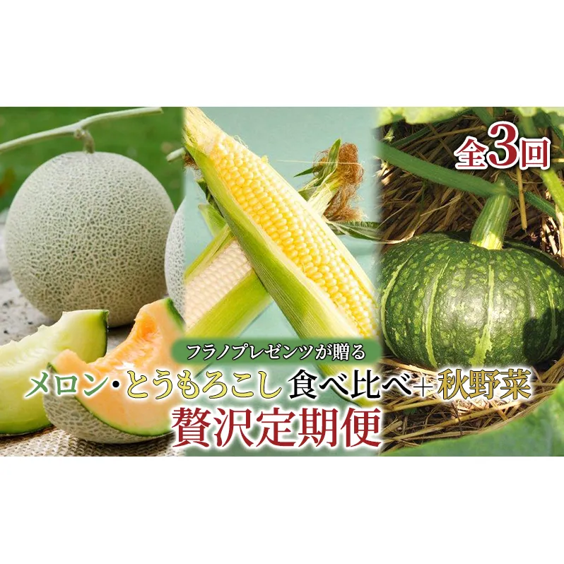 【年3回定期便】【2025年7～10月お届け】高品質 フラノプレゼンツ が贈る メロン 2種 食べ比べ 新鮮野菜 食べ比べ 贅沢 定期便 ！(メロン とうもろこし かぼちゃ  北海道 富良野市 野菜 果物 フルーツ 甘い 新鮮 赤肉 青肉)