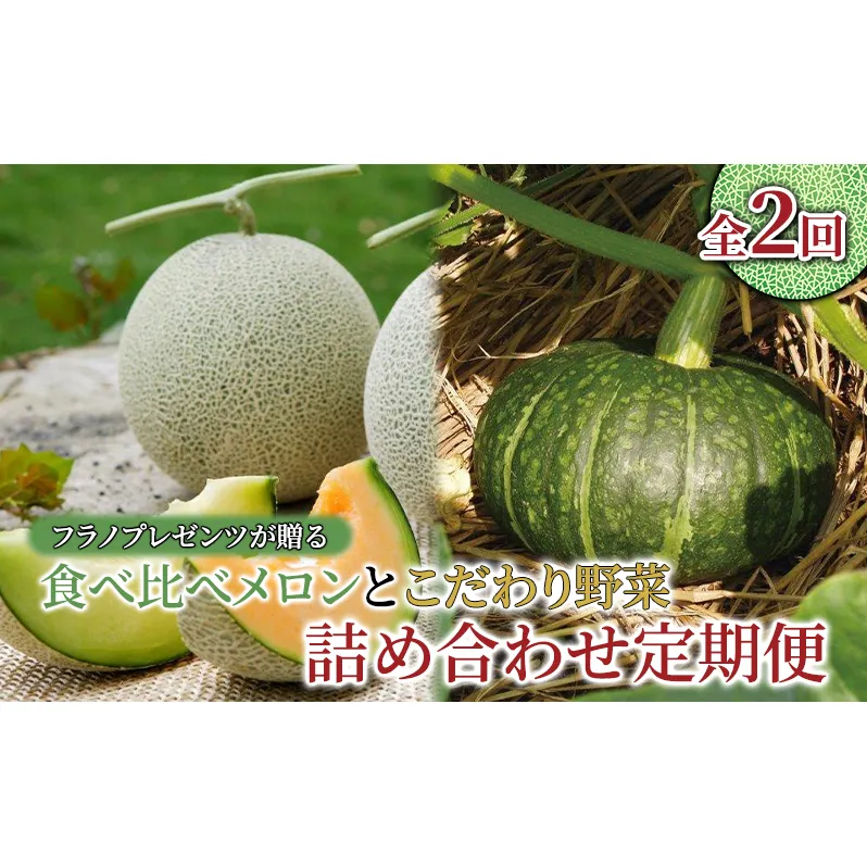 【年2回定期便】【2025年7～10月お届け】高品質 フラノプレゼンツ が贈る 赤肉 青肉 メロン 食べ比べ と 野菜 詰め合わせ 贅沢 定期便 (メロン かぼちゃ 北海道 富良野市 野菜 果物 フルーツ 甘い 新鮮 ふらの)
