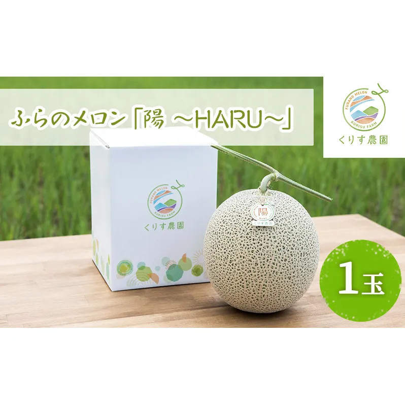 【2024年7月上旬より順次発送】ふらのメロン「陽 ～HARU～」大玉(2.3kg以上)×1玉 ( 赤肉 )( くりす農園 )