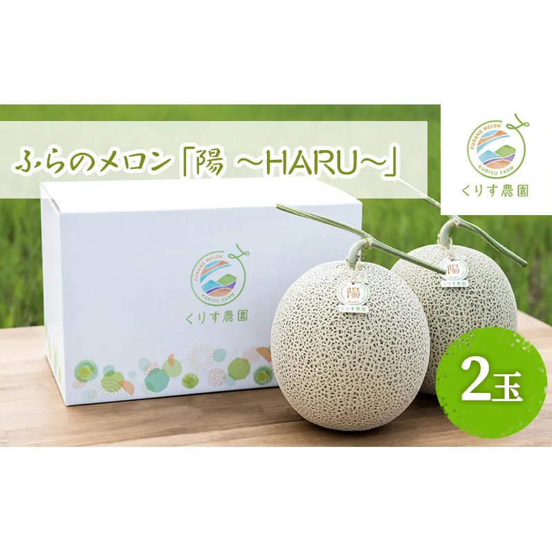 【2025年7月上旬より順次発送】ふらのメロン「陽 ～HARU～」大玉(2.3kg以上)×2玉 ( 赤肉 )( くりす農園 )