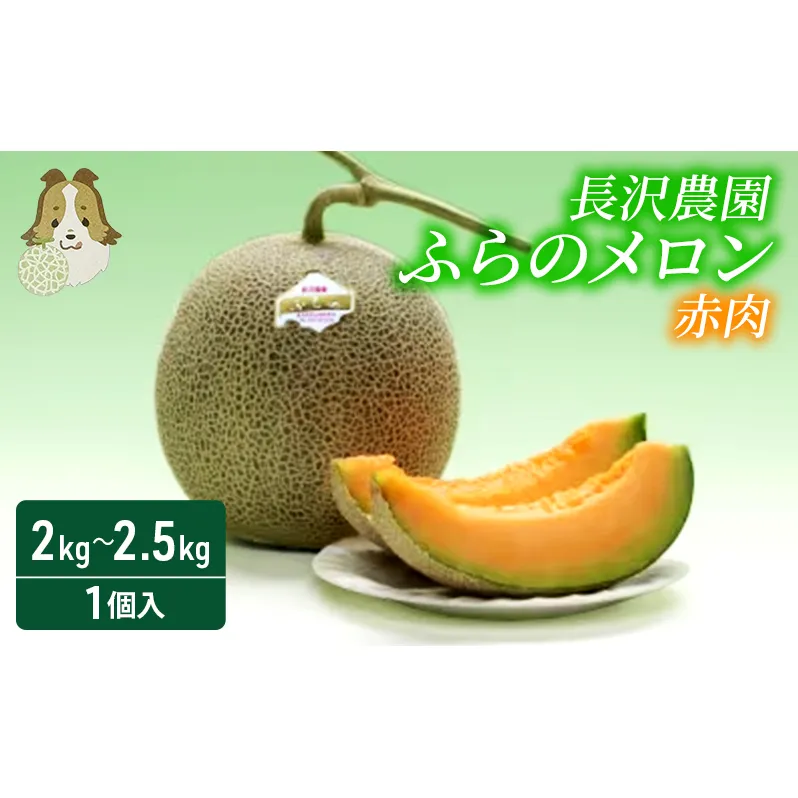 【先行受付  2025年発送】ふらのメロン 赤肉 大玉 ジャンボ 1玉入 (2kg～2.5kg) 北海道 富良野 メロン 夏 果物 フルーツ ギフト 長沢農園