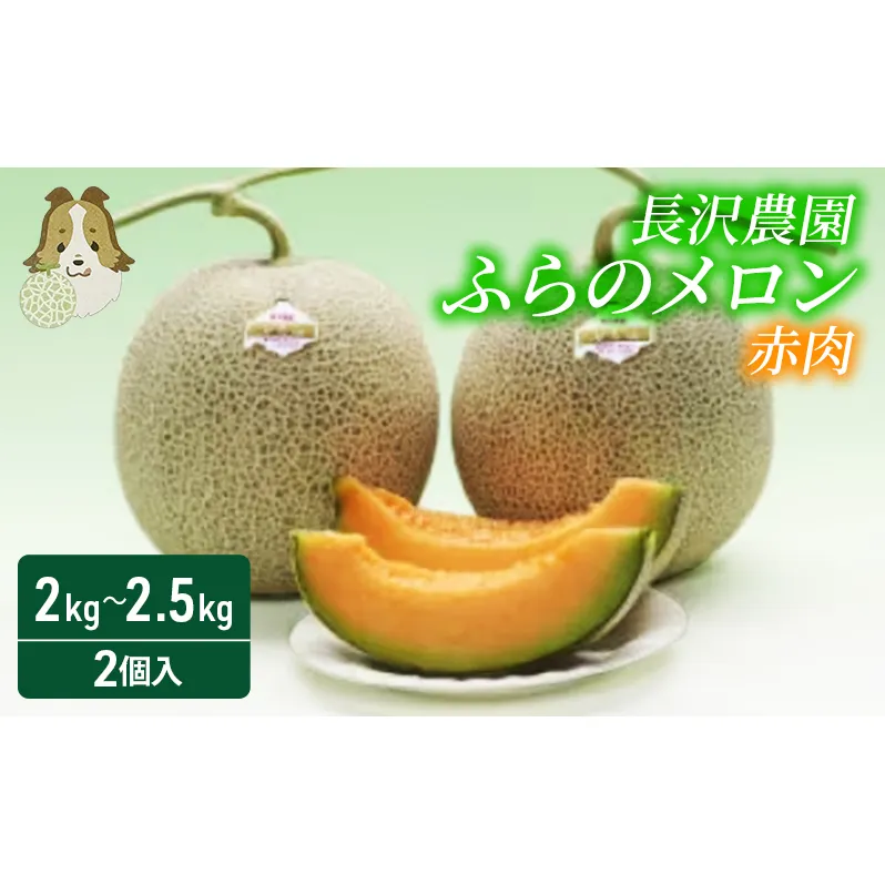 【先行受付  2025年発送】ふらのメロン 赤肉 大玉 ジャンボ 2玉 セット (1玉 2.0kg～2.5kg) 北海道 富良野 メロン 夏 果物 フルーツ ギフト 長沢農園
