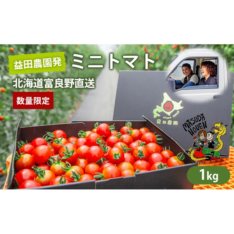 【数量限定・2025年7月中旬～順次発送】富良野 益田農園産 ミニトマト 約1kg トマト ギフト 北海道 富良野市 野菜 とれたて 新鮮 限定 数量限定 (益田農園)
