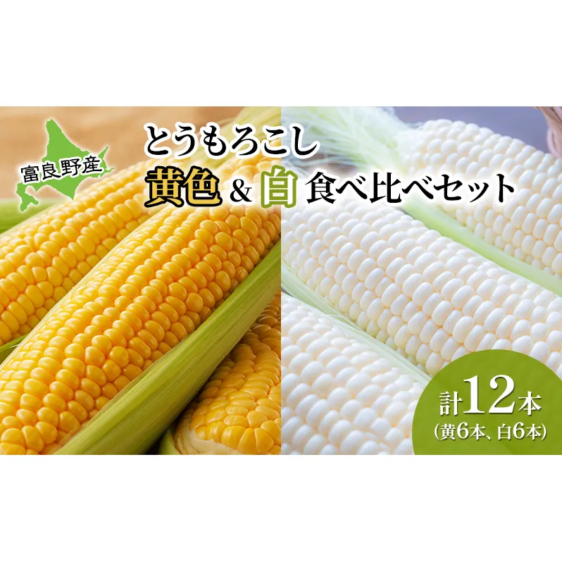 2025年先行受付 とうもろこし 食べ比べ 富良野産とうもろこし 黄6本・白6本セット 北海道 富良野 ふらの コーン とうきび トウモロコシ ホワイトコーン 野菜 甘い