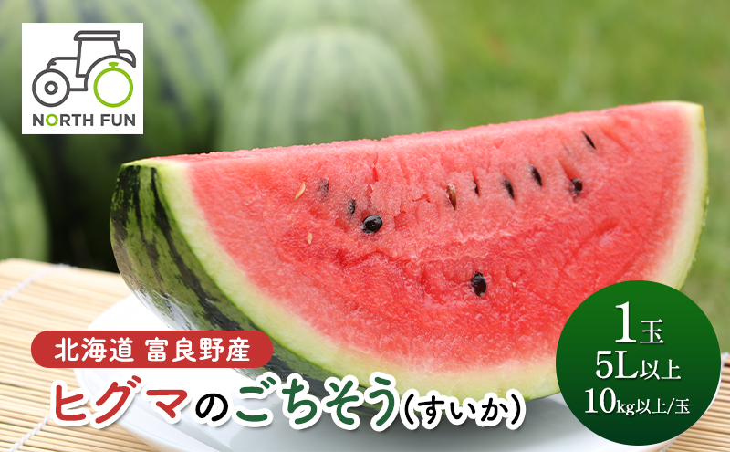 ①ブラックストーン669g北海道天然バカマツタケバカ松茸 ①ブラックストーン様専用669g北海道天然バカマツタケバカ松茸